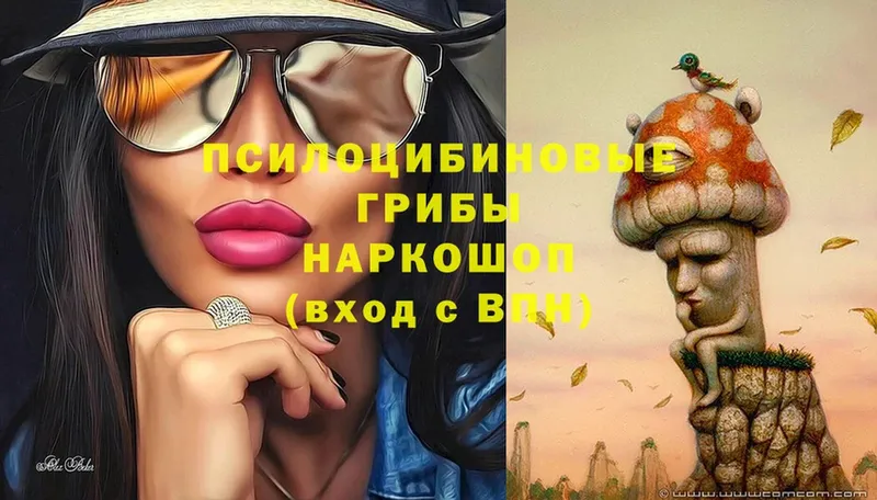 Псилоцибиновые грибы GOLDEN TEACHER  Железноводск 